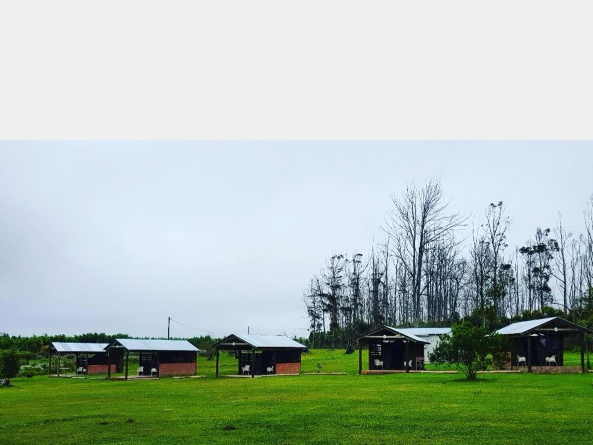 Cadeau Hiking And Accommodation Witelsbos ภายนอก รูปภาพ